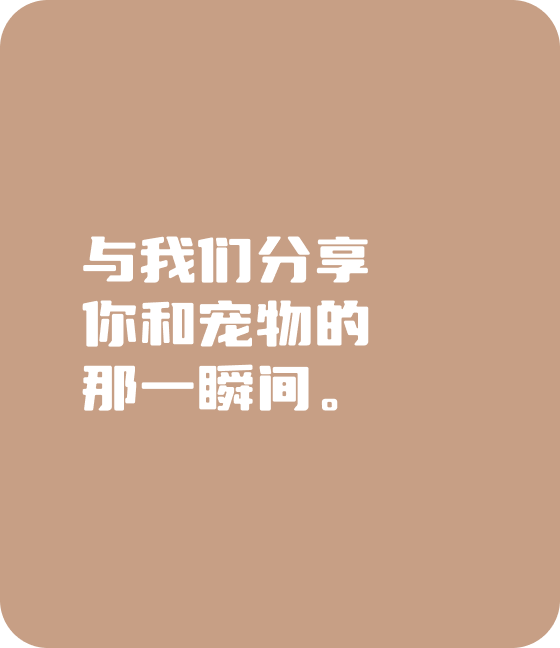 米兰官方网宠物，无处不在